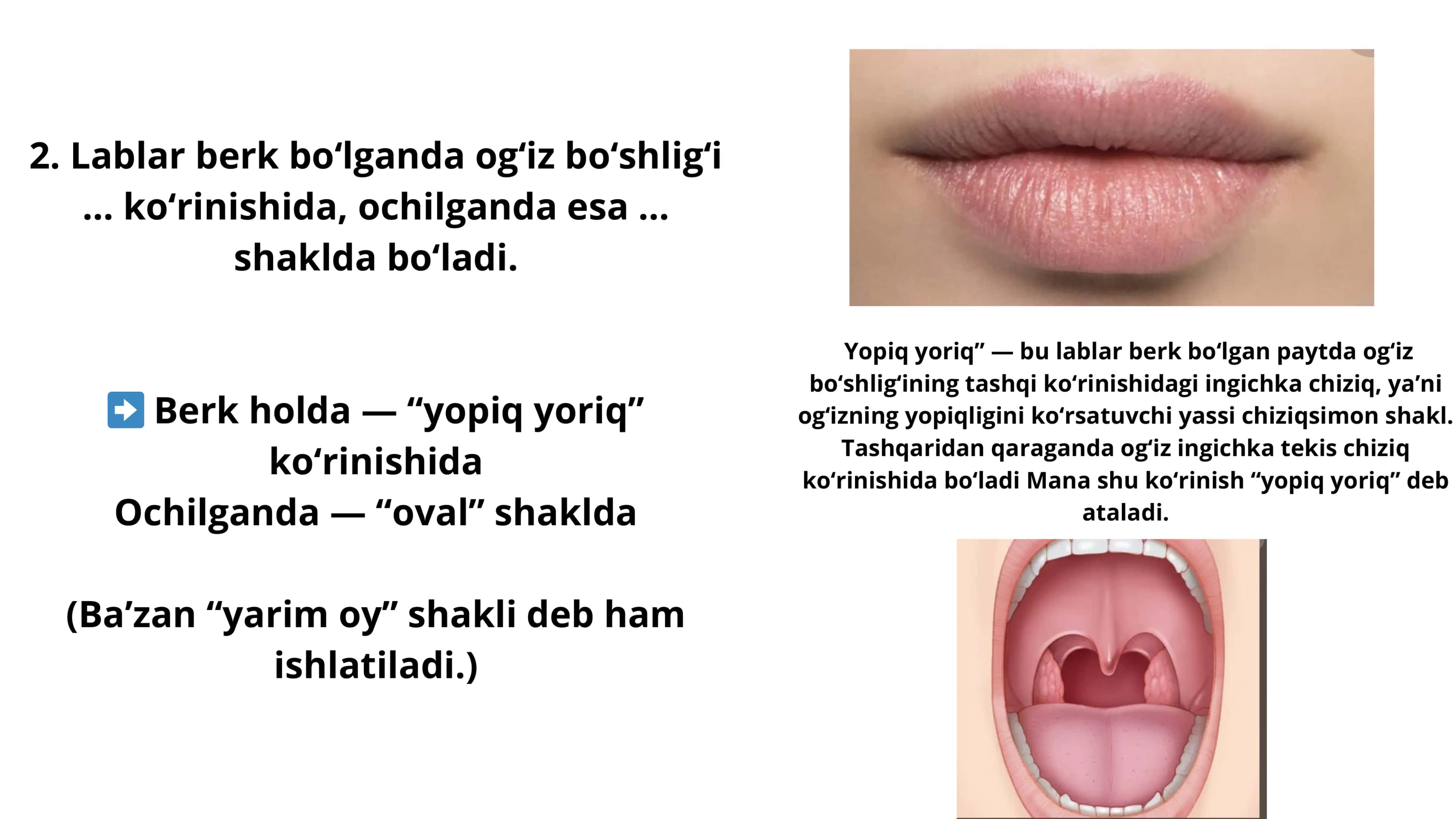 Makrofillarga taalluqli kompozitlar 2