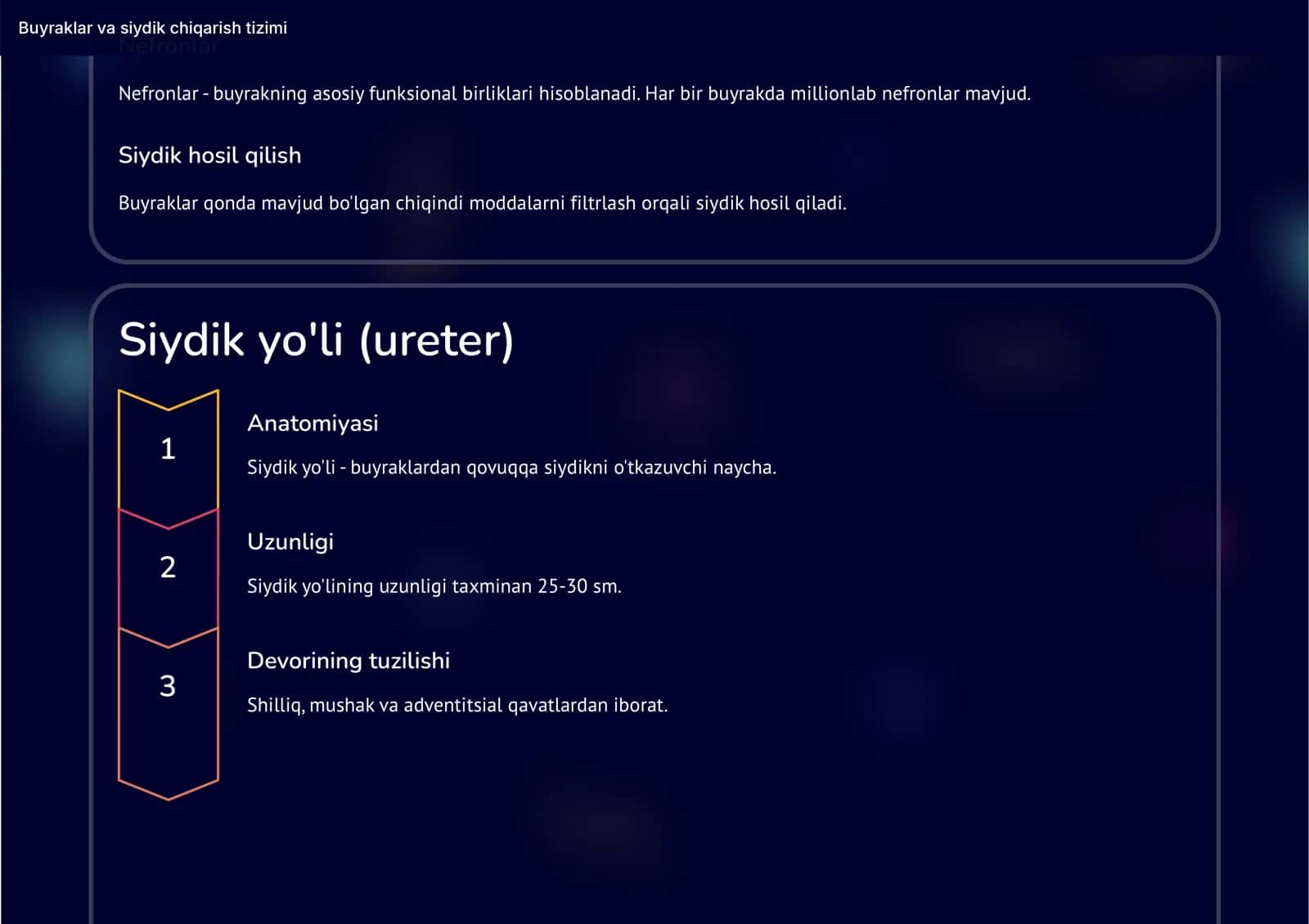 Siydik va buyrak chiqarish tizimi 2