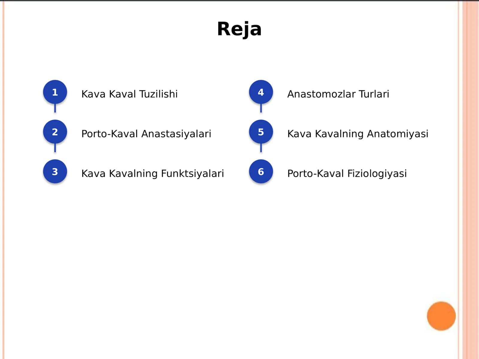 Kava Kaval porto-kaval anastomozlar 2