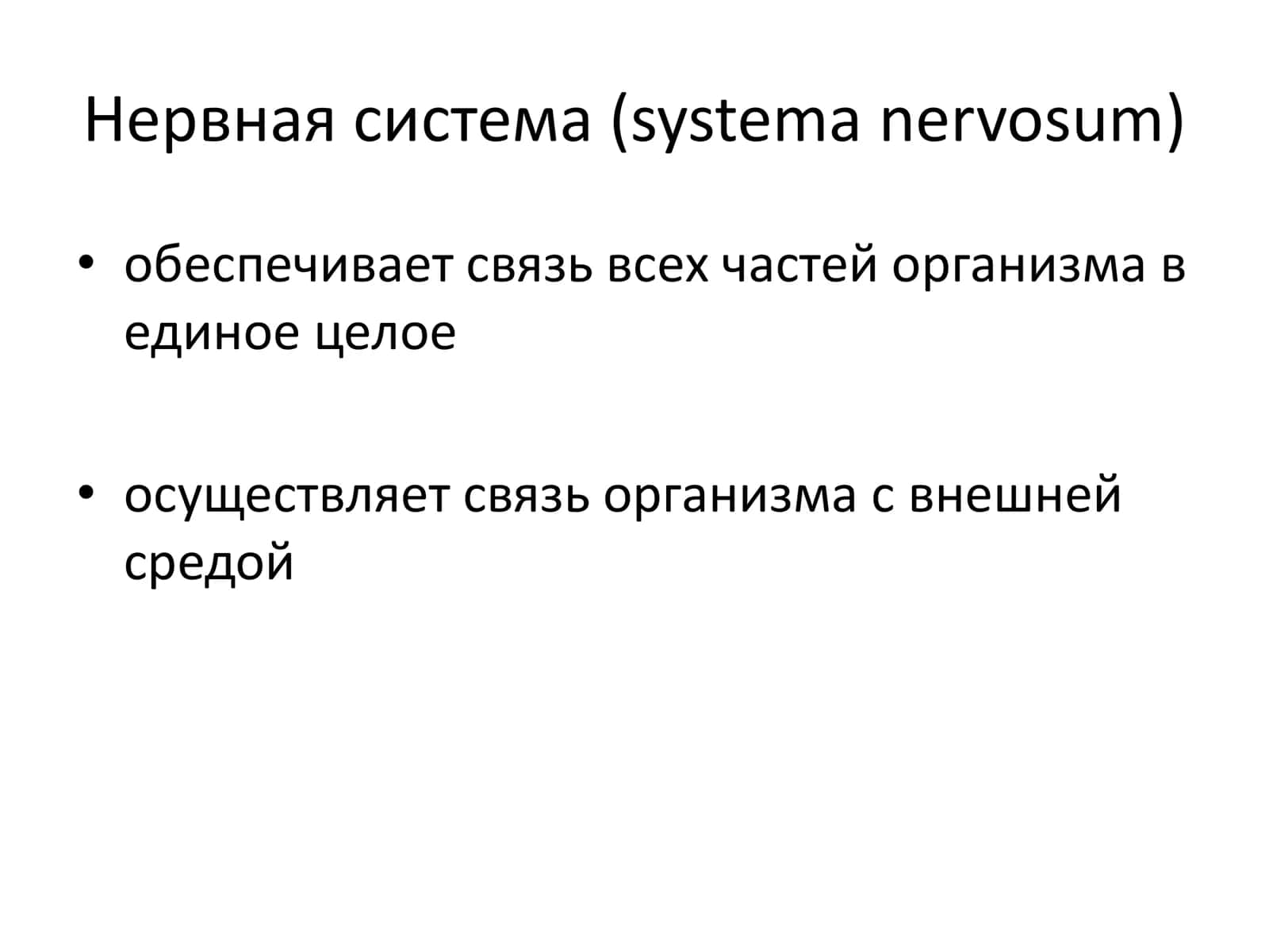 Центральная Нервная Система 2