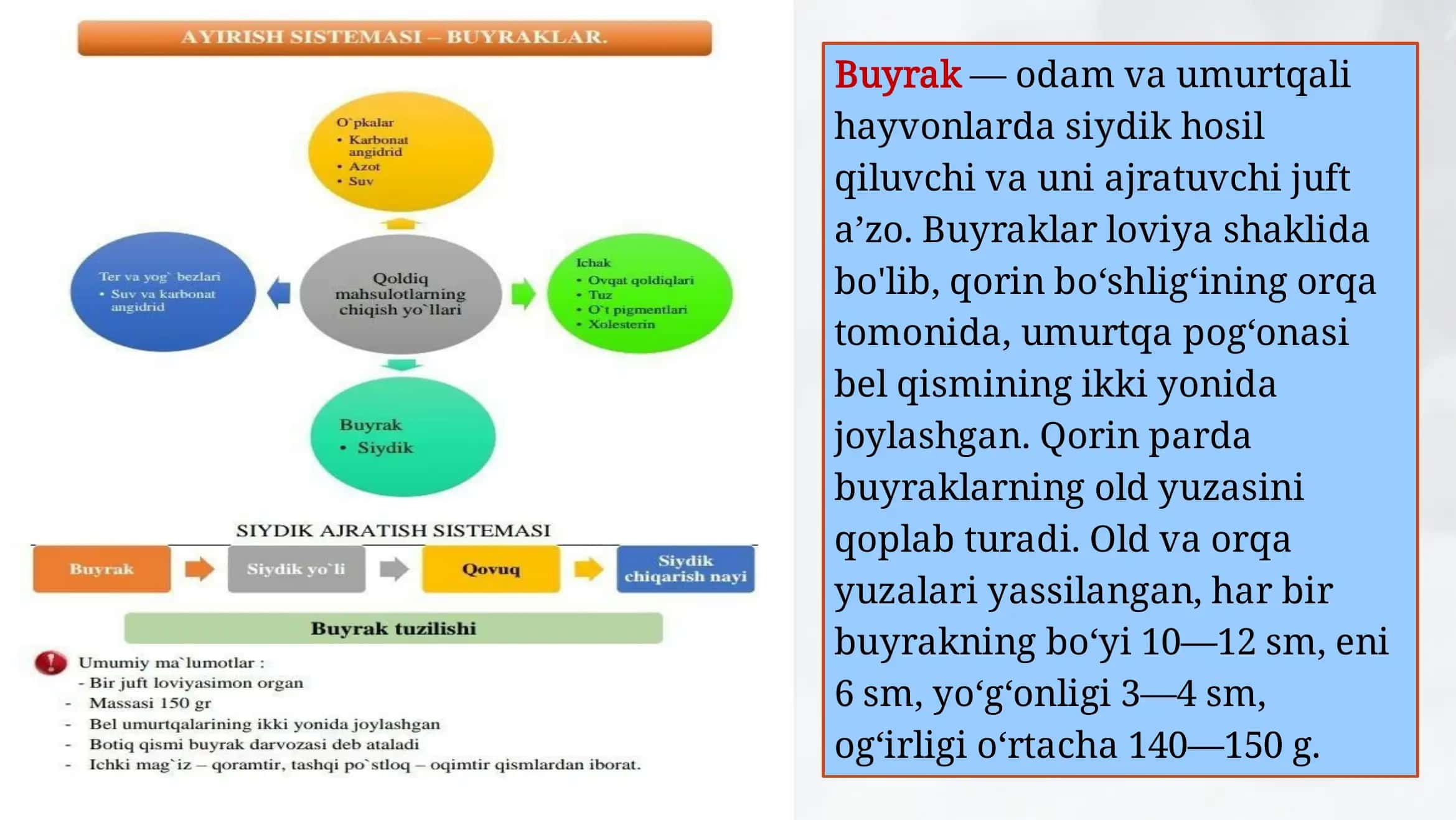 Odamlarning ayirish sistemasi 2