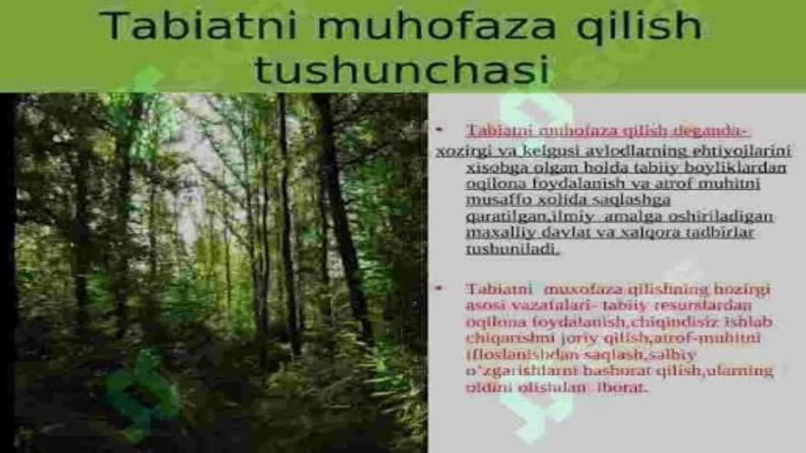 Tabiatni muhofaza qilish masalalarini 3