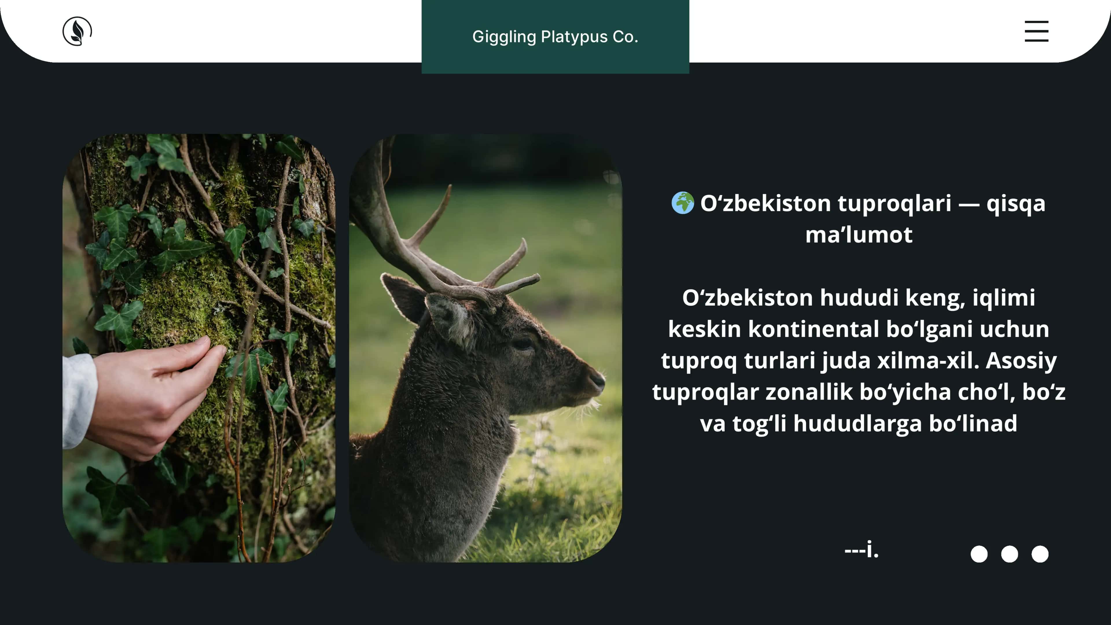 O'zbekiston tuproqlari 3