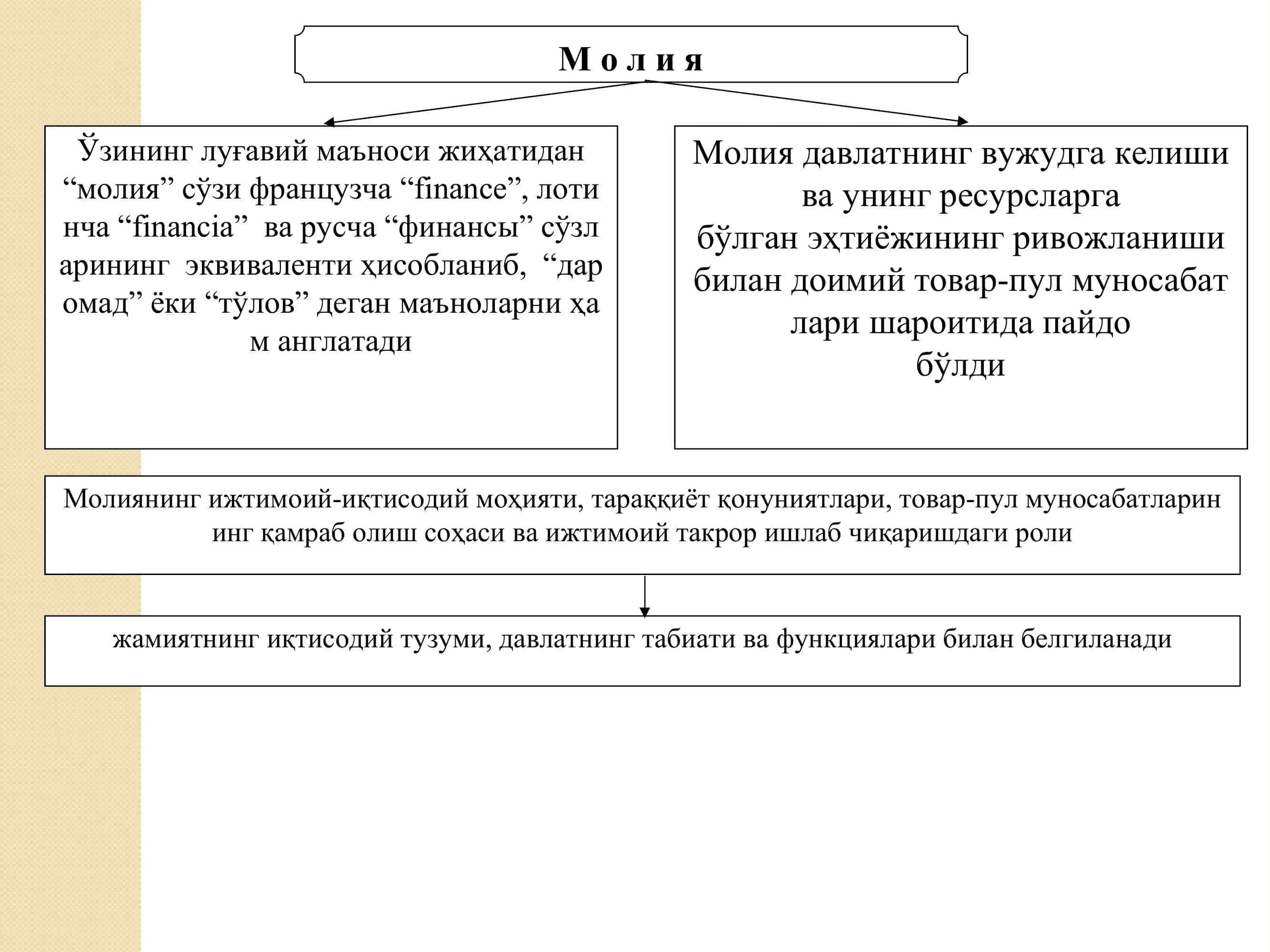 "Молия" кафедраси 3