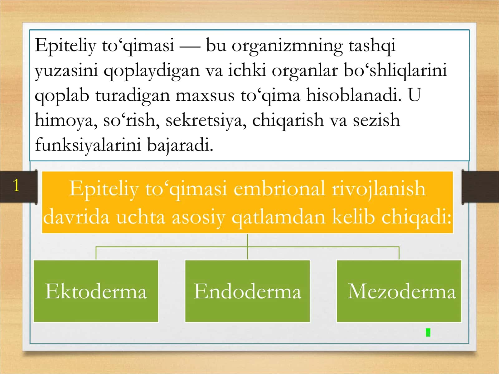 Gistologiya 3