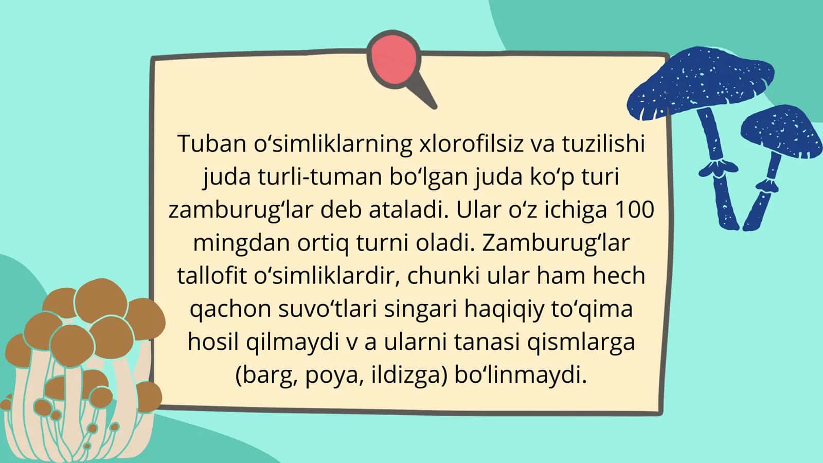 Zamburugʻlar va ularning tarqalishi 3