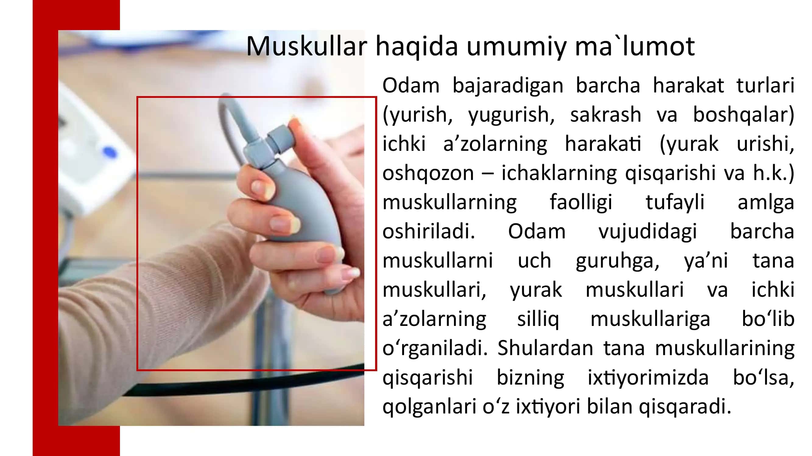 Tayanch-harakat tizimi 3
