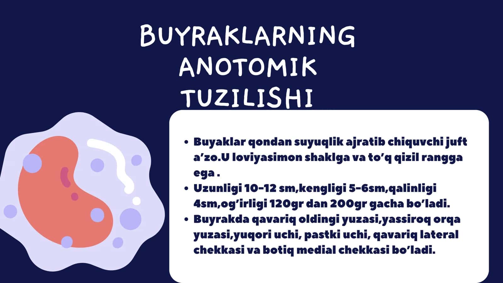 QUCHQOROVA SABINA ABDIVOHID QIZI BUYRAKLAR 3