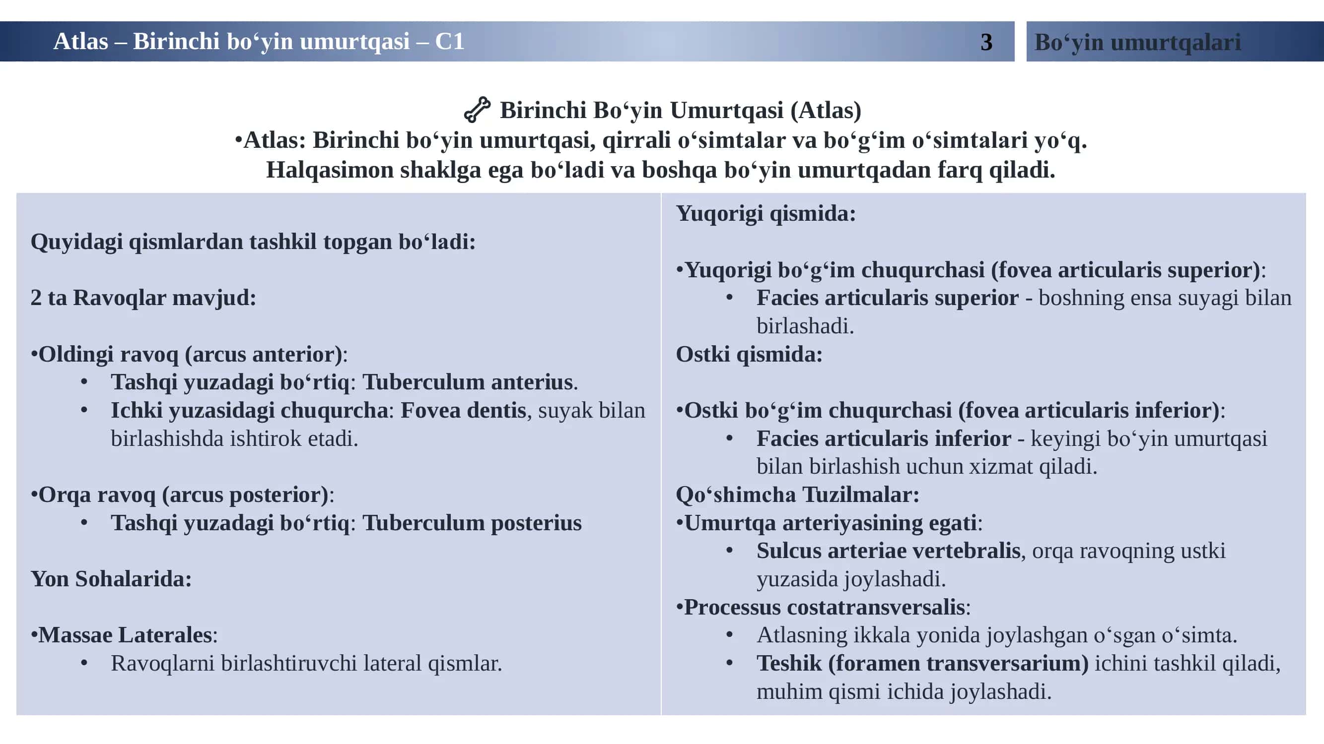Birinchi Bo‘yin Umurtqasi (Atlas) 3