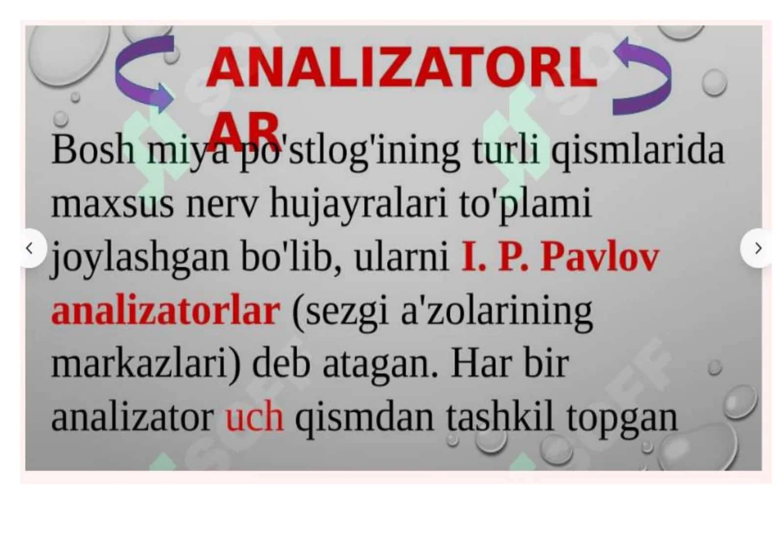 Teri analizatori (Teri sezgisi) 3