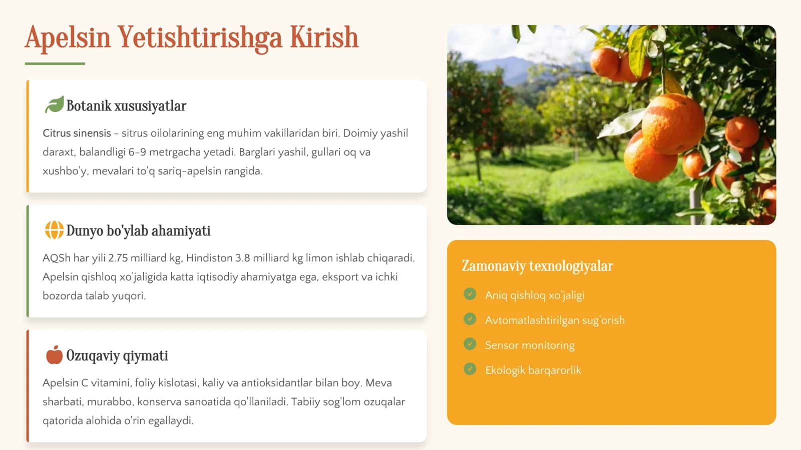 Apelsin yetishtirish texnologiyasi 3