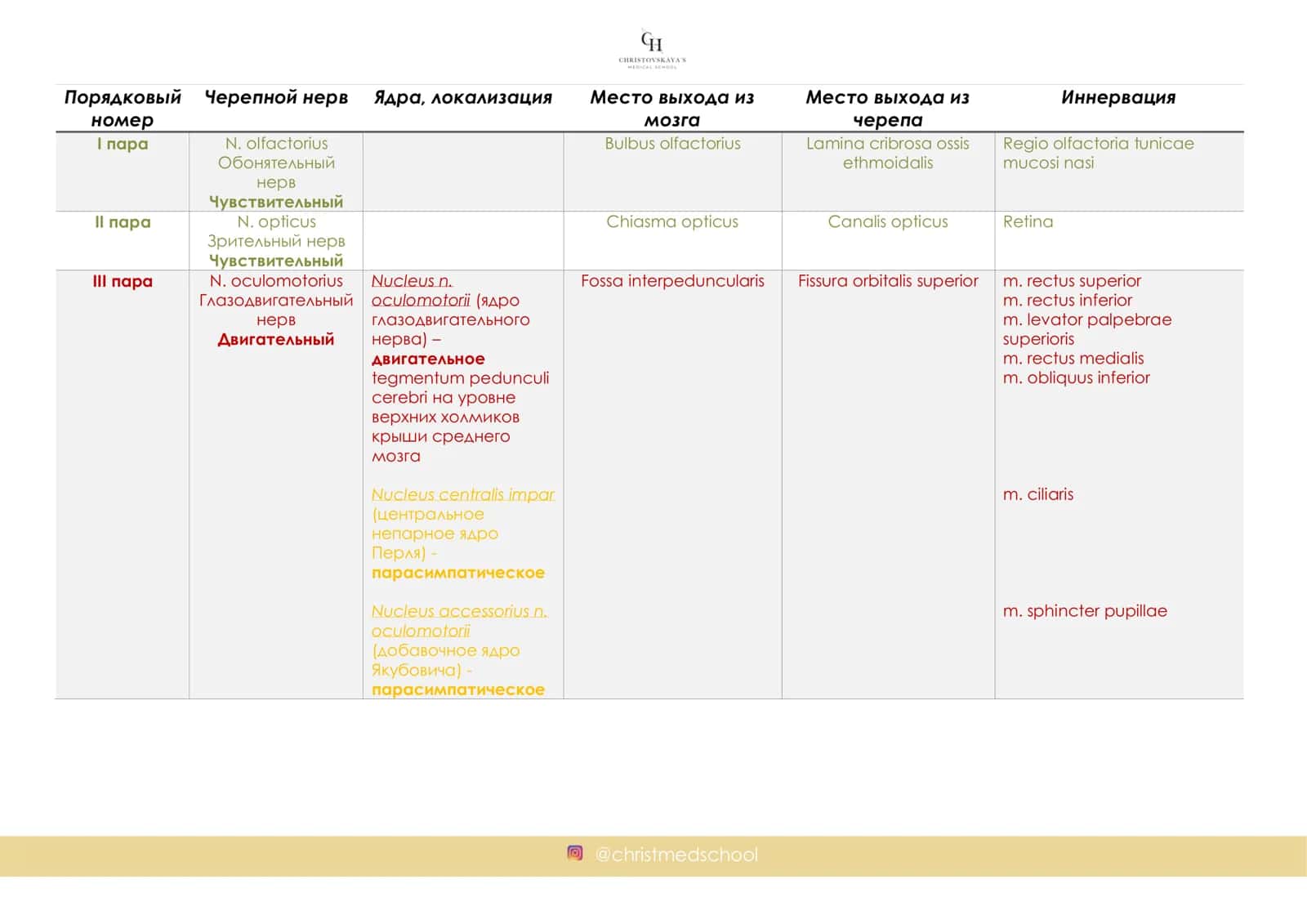 ИНТЕНСИВ ПО ПЕРИФЕРИЧЕСКОЙ НЕРВНОЙ СИСТЕМЕ 3