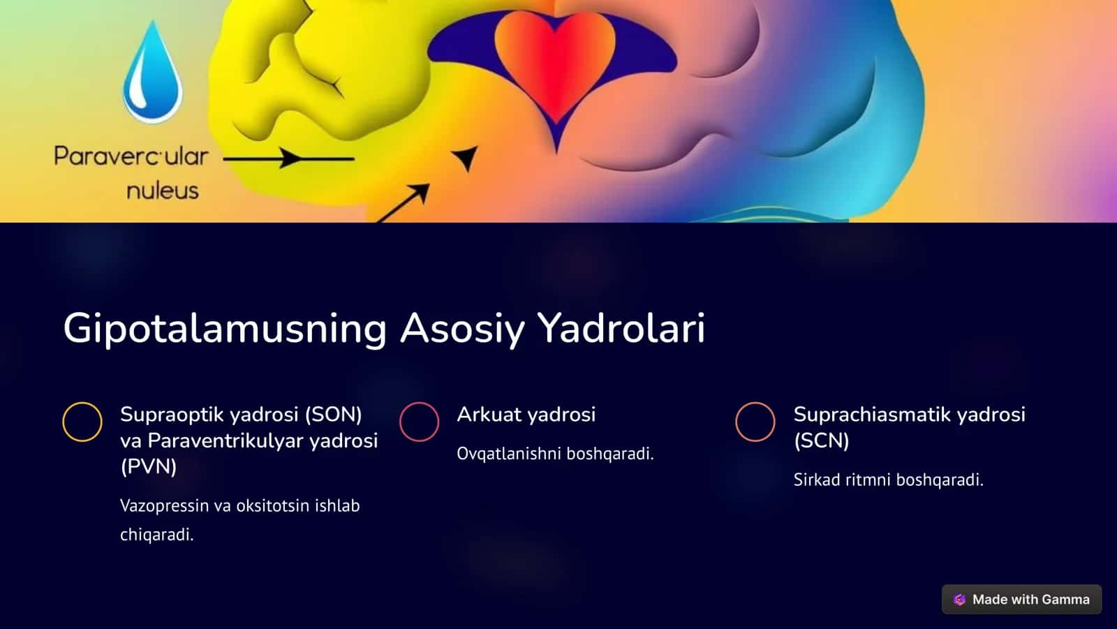 Gipotalamus: Asosiy Nazorat Markazi 3