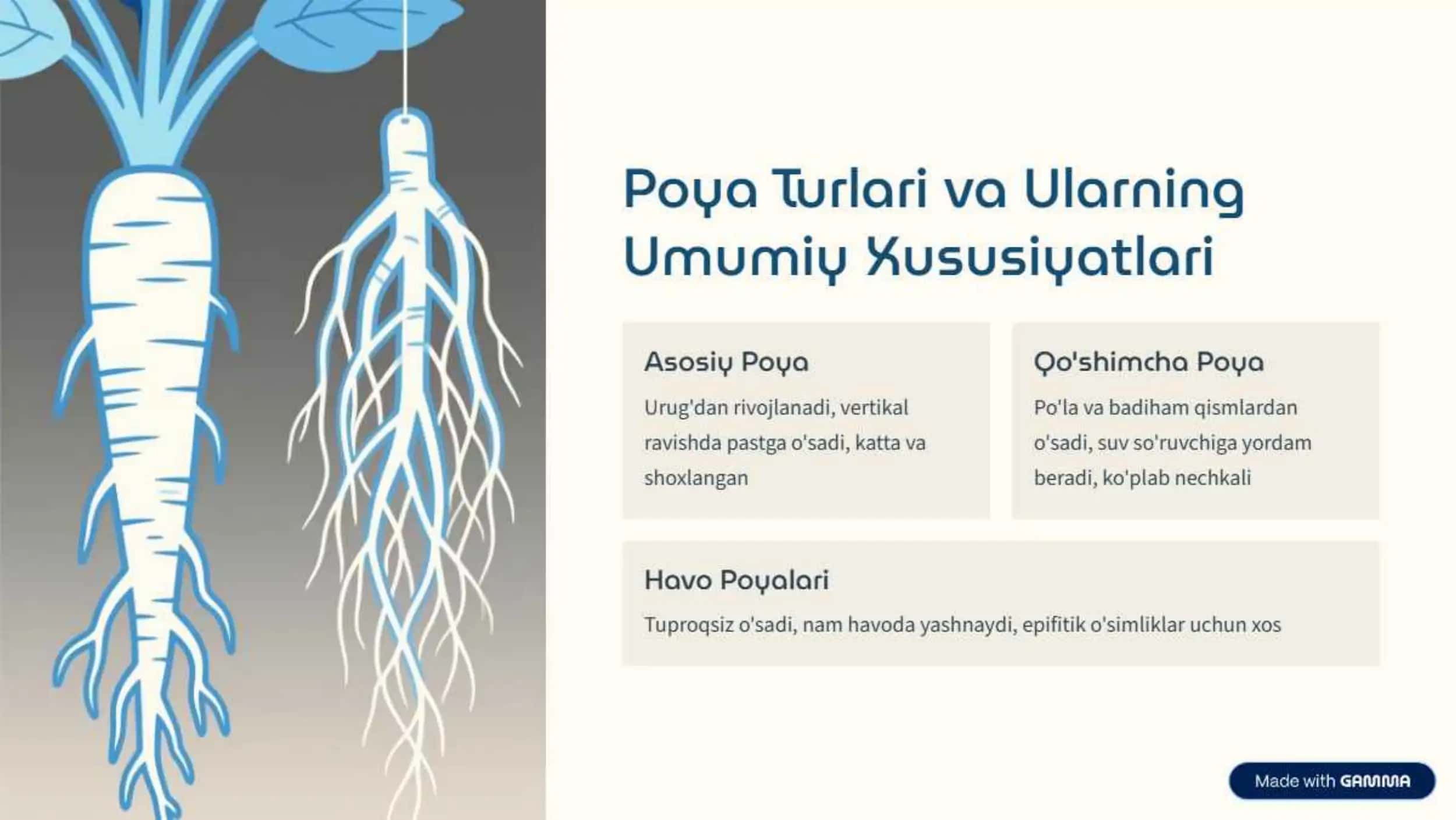 Poyaning Ichki Tuzilishi 3