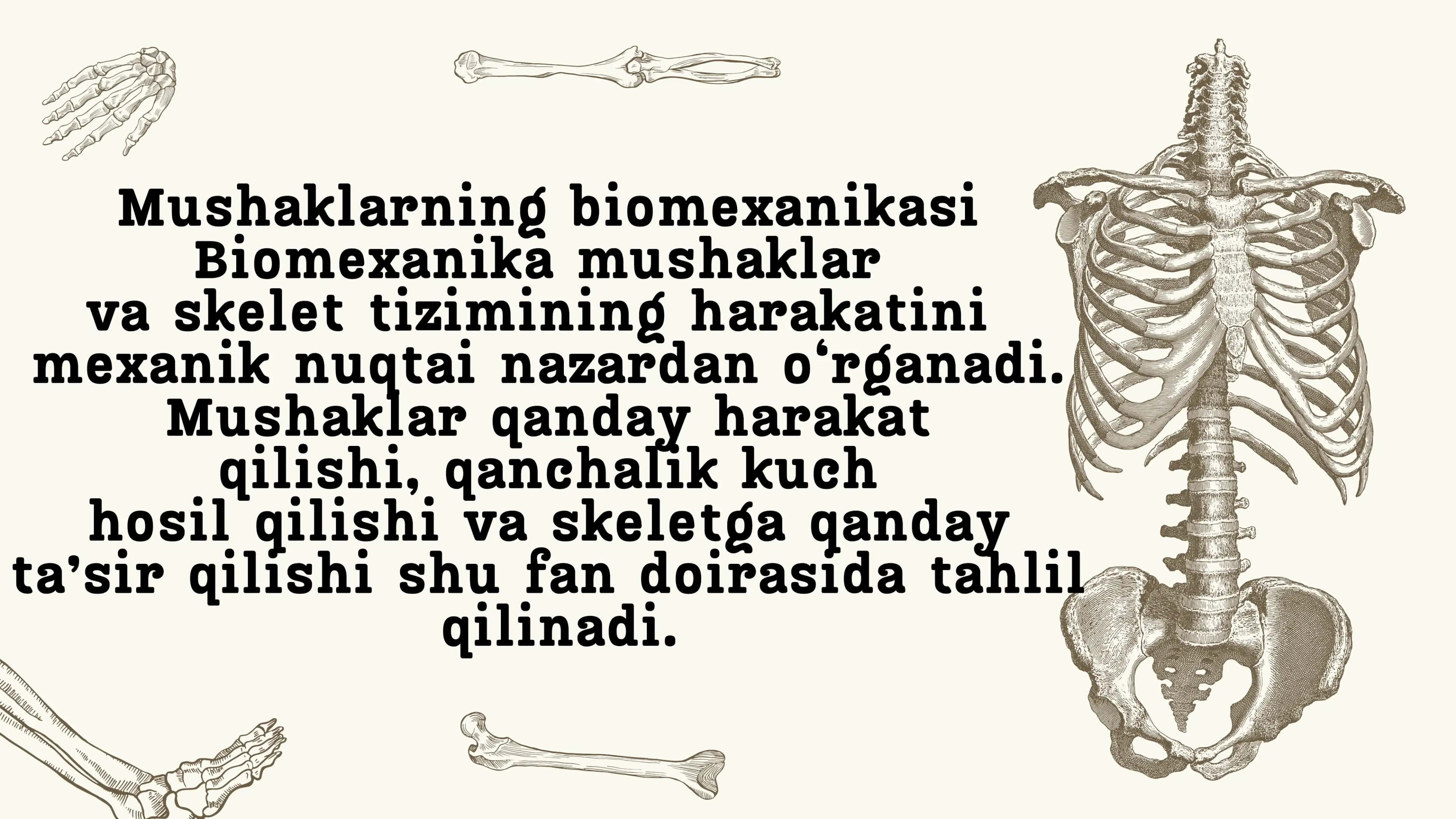 Mushaklarning ishi biomexanikasi 3
