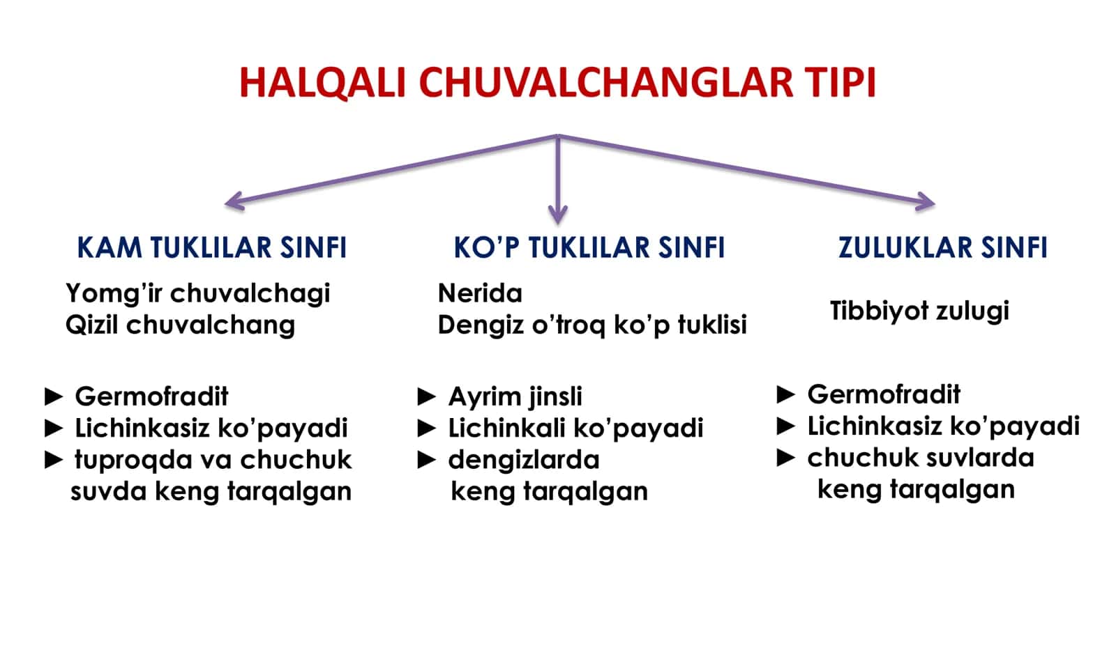 HALQALI CHUVALCHANGLAR TIPI 3