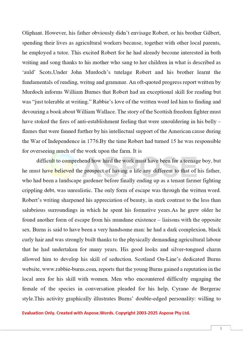 Conception of patriotism in the poems of Robert Burns 3