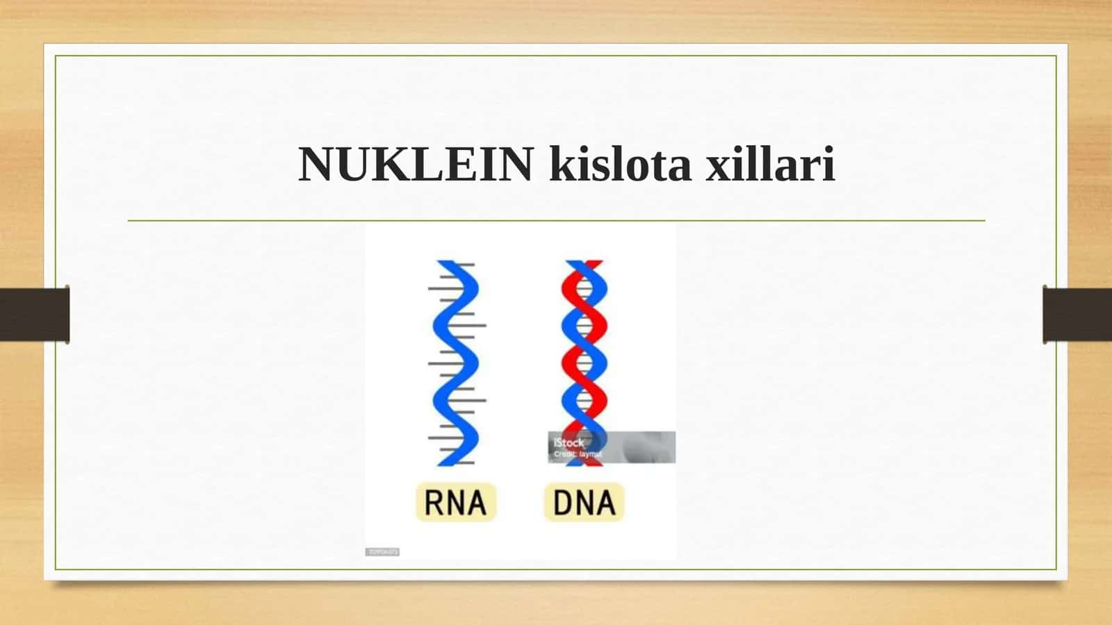 BIOLOGIYA DNK mukammal qollanma 3