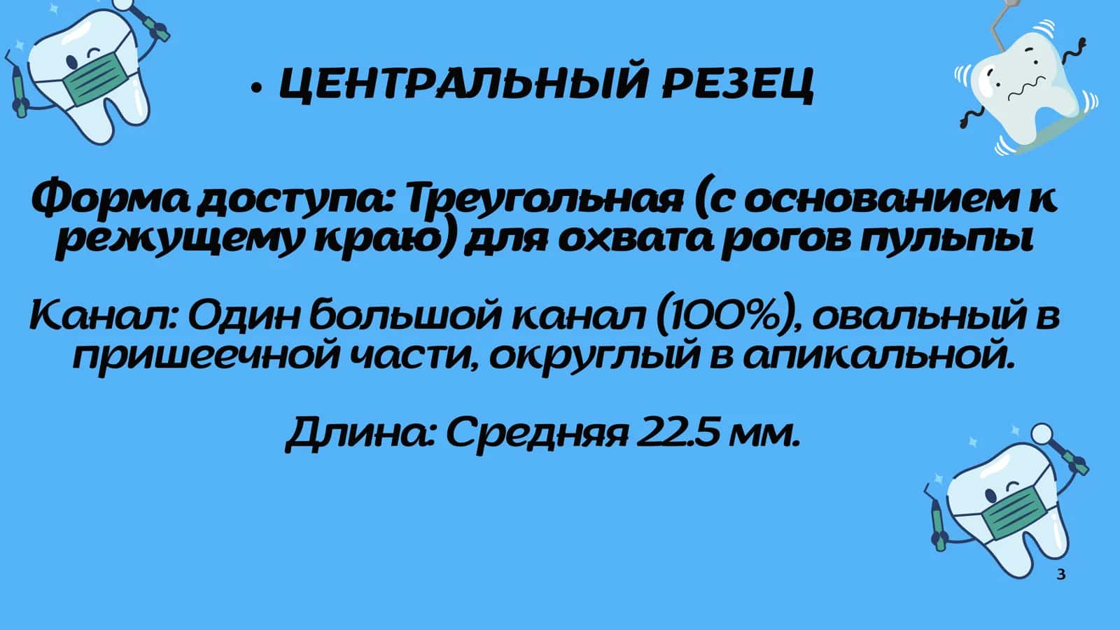 Анатомия зубов по эндодонтичемким критериям 3