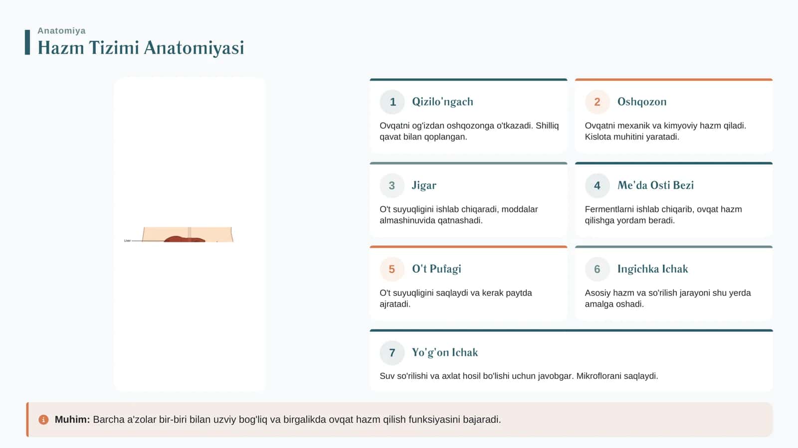 Tibbiy Ta'lim Hazm Tizimi Kasalliklari Bilan 3