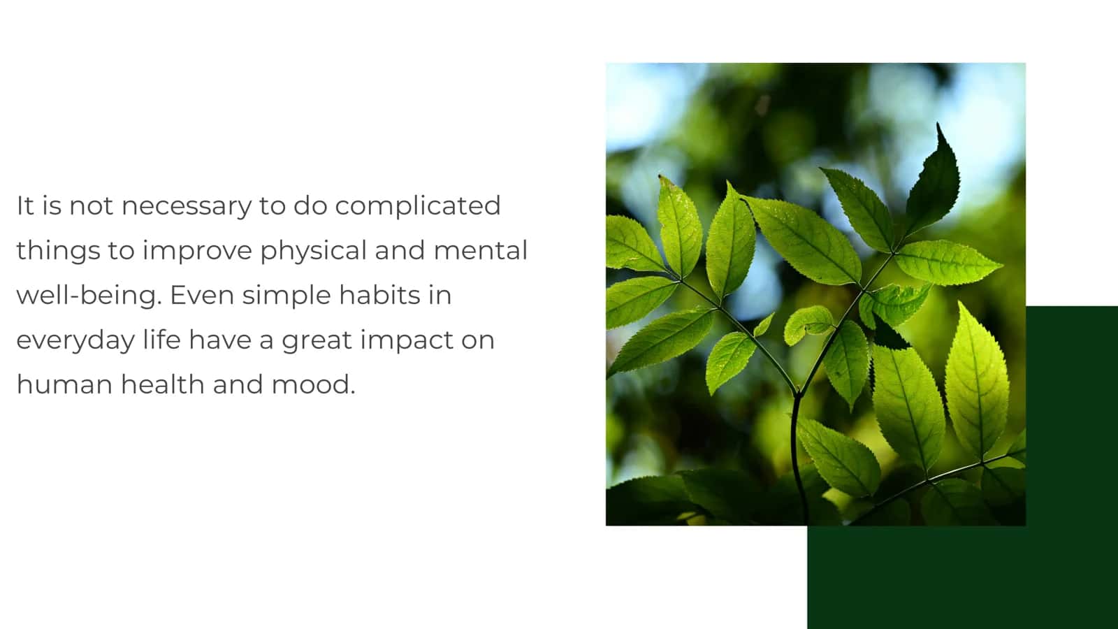 SIMPLE WAYS OF IMPROVING PHYSICAL AND MENTAL WELLBEING 3