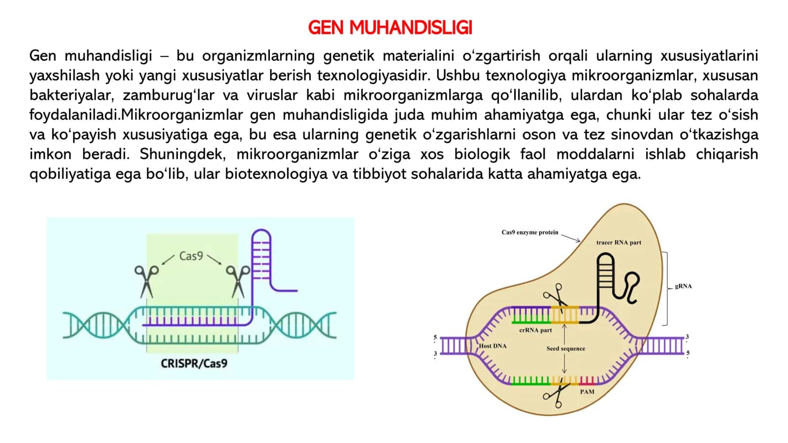Mikrobiologiya va Virusologiya 3