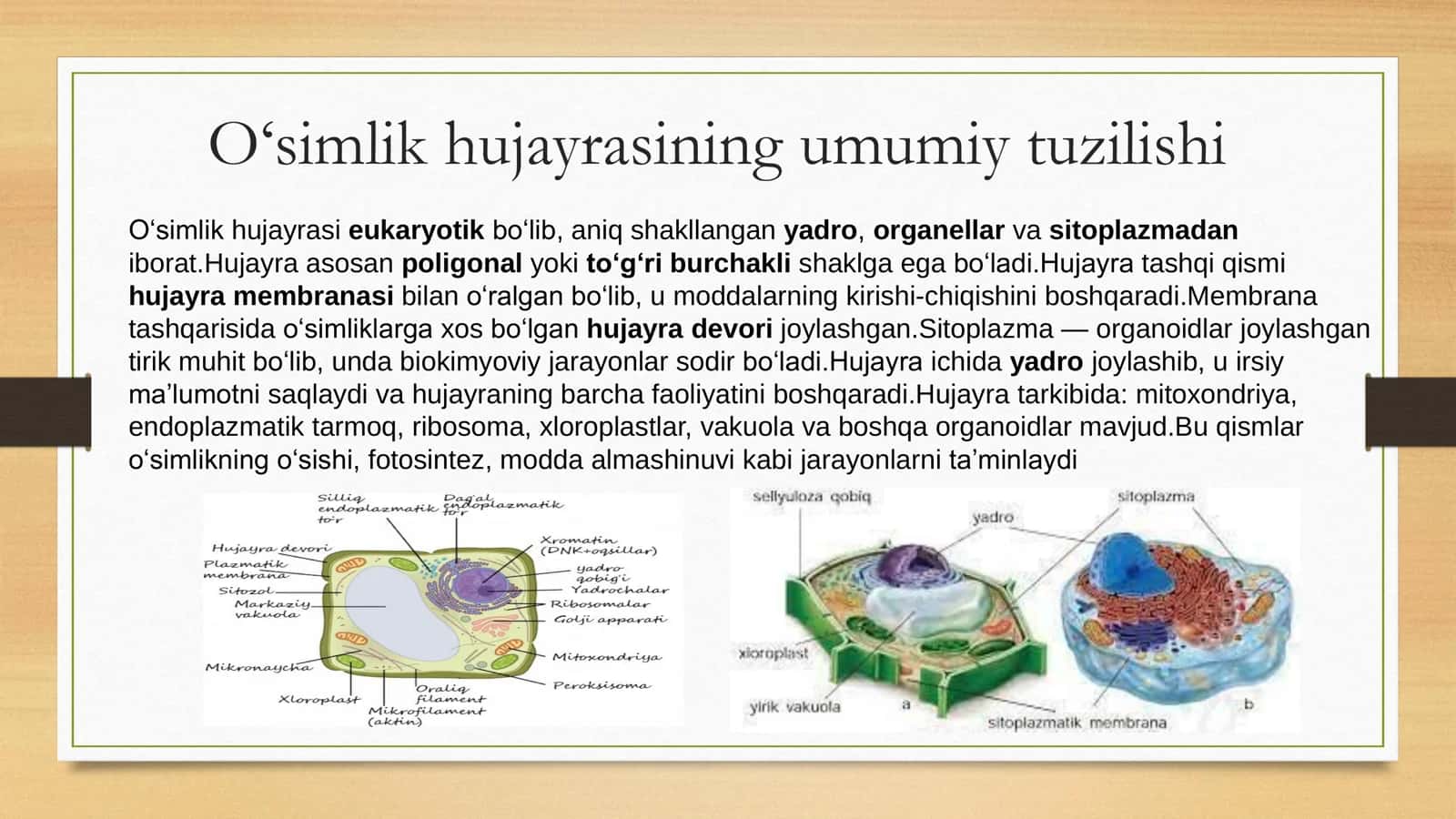 O‘simlik hujayra va to‘qimalarining tuzilishi 3