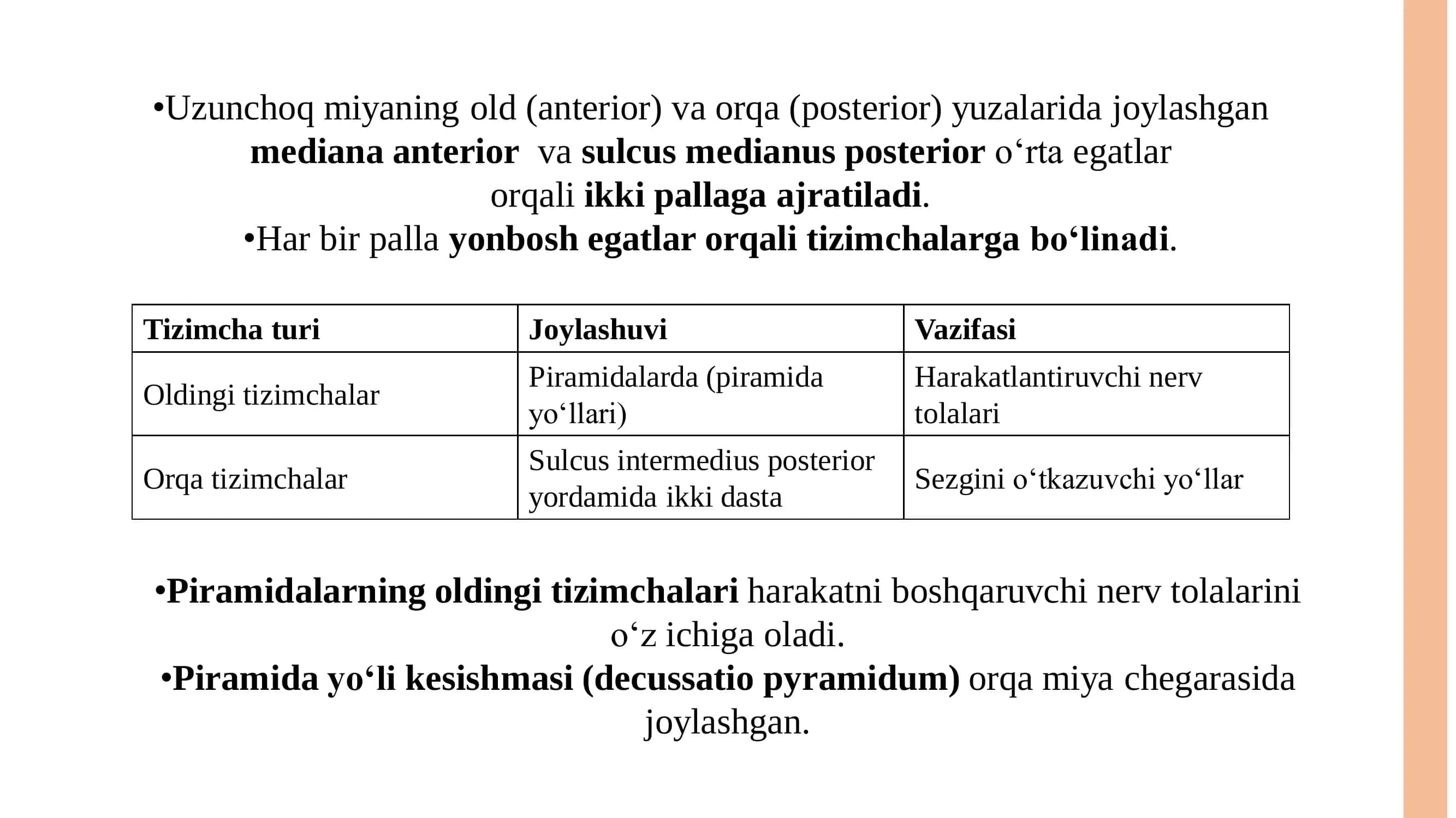 Uzunchoq Miya (Medulla Oblongata) Tuzilishi va Funksiyalari 3