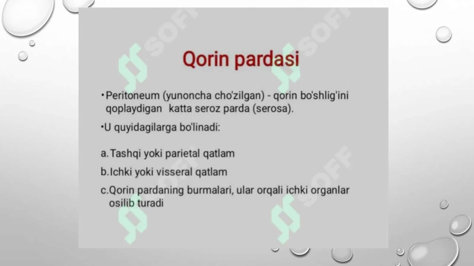 QORIN PARDA. SINUSLARI, QOPCHALARI VA KANALLARI 3