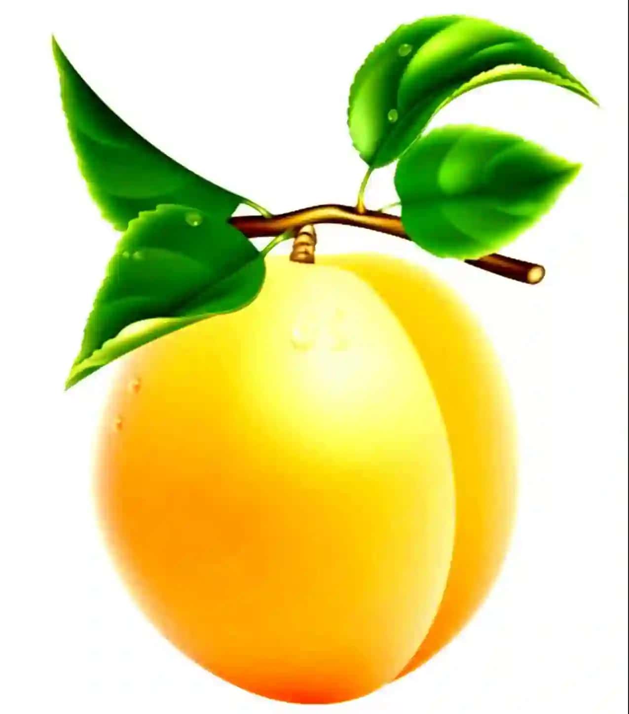 meva va sabzavotlar rasmi 3