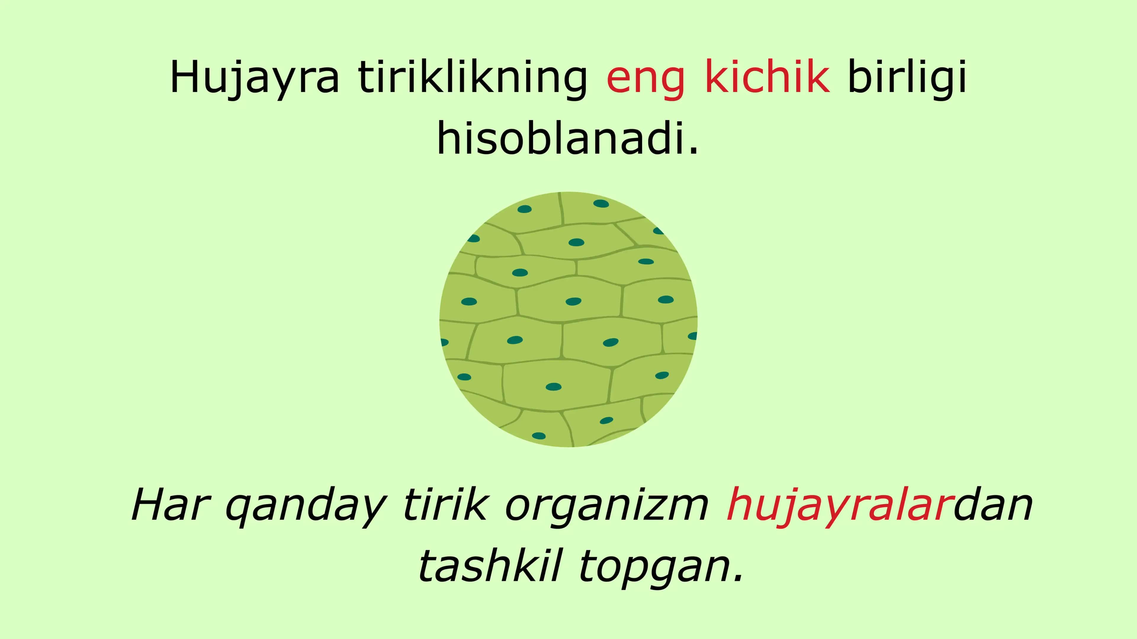 Hujayra - tiriklikning asosi 3