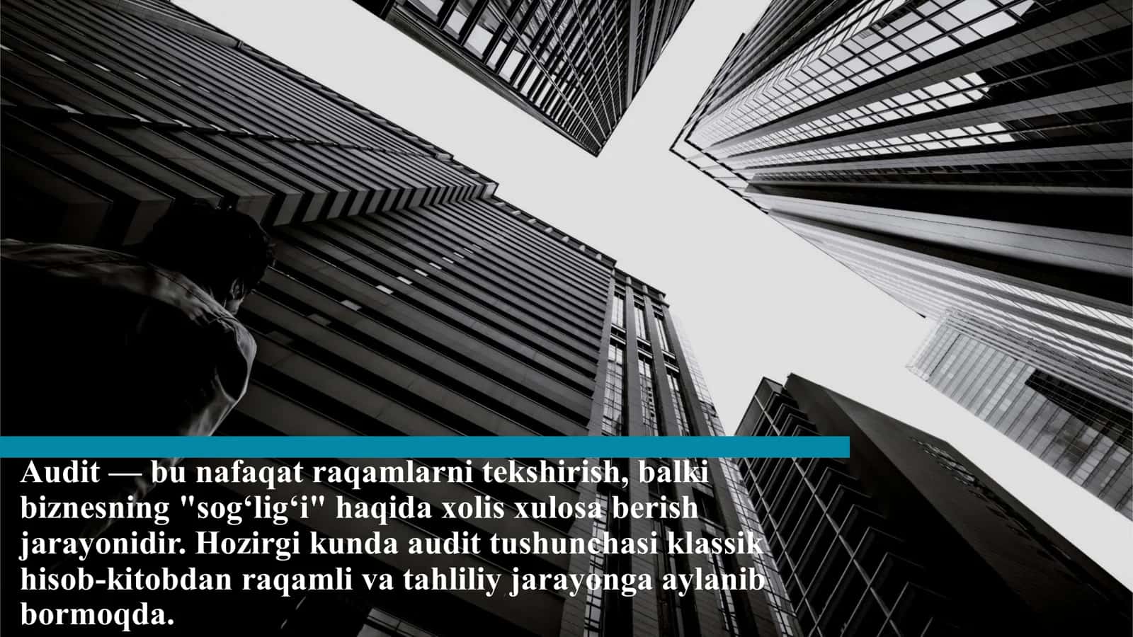 AUDITGA UMUMIY TAVSIF 3