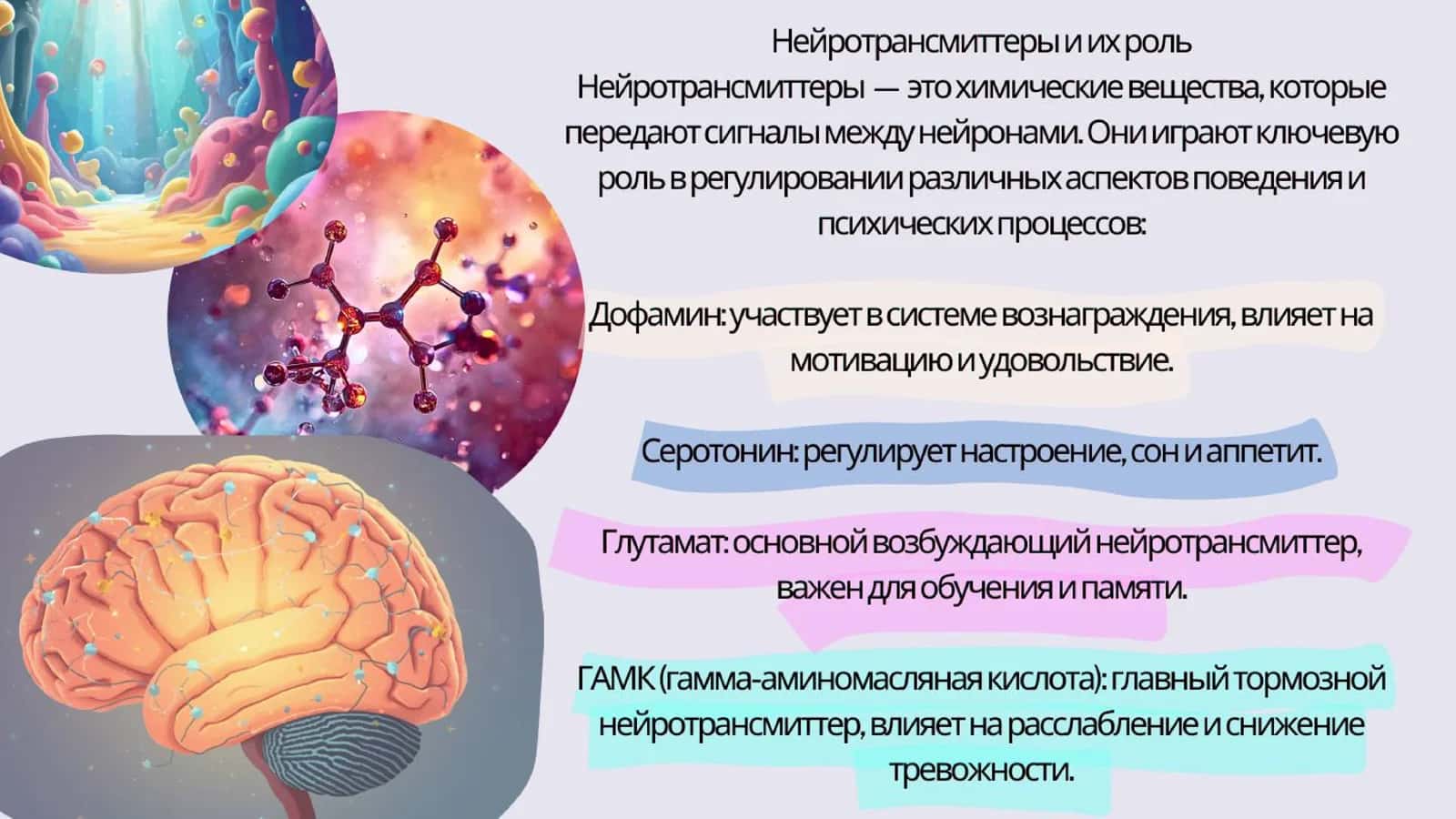 Психофизиологические основы поведения 3