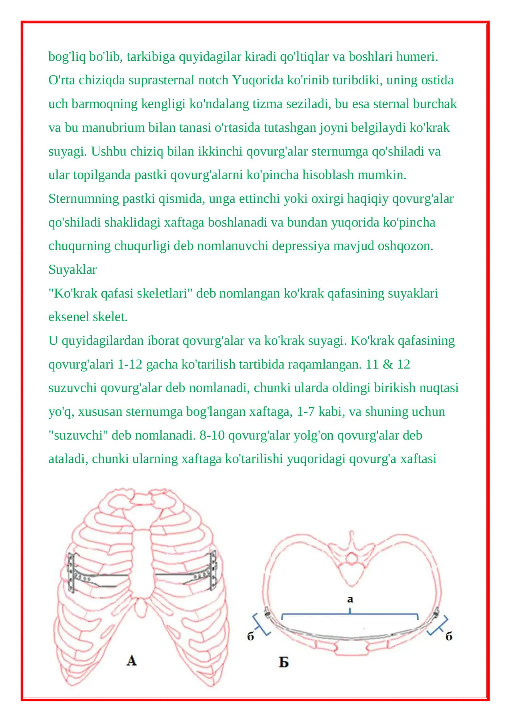 Ko'krak qafasining rentgenografiyasi 3