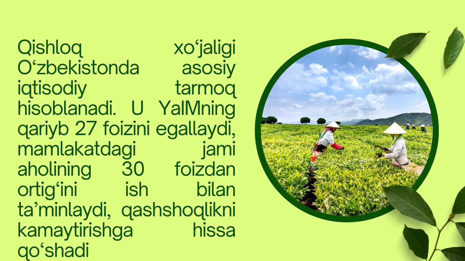 GEOGRAFIYA VA IQTISOD YONALISHI 3 KURS 3