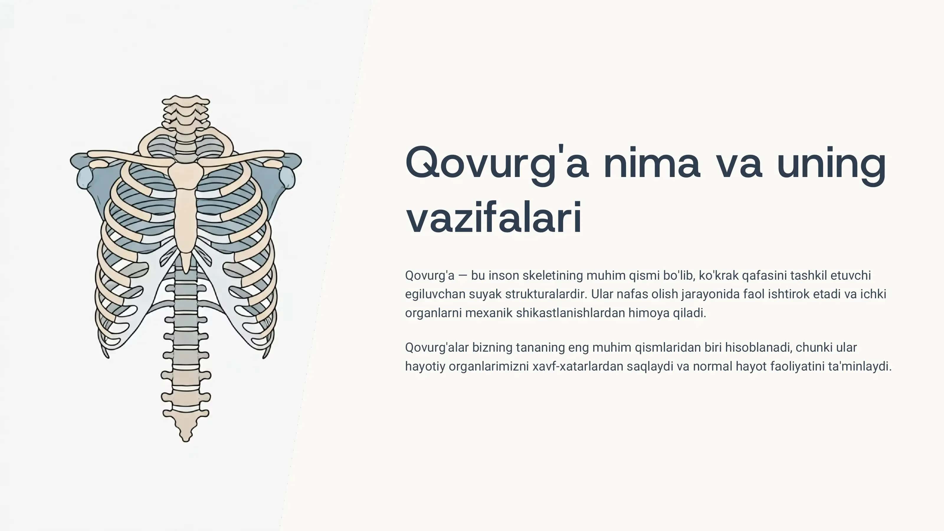 Qovurg'a va Tosh 3