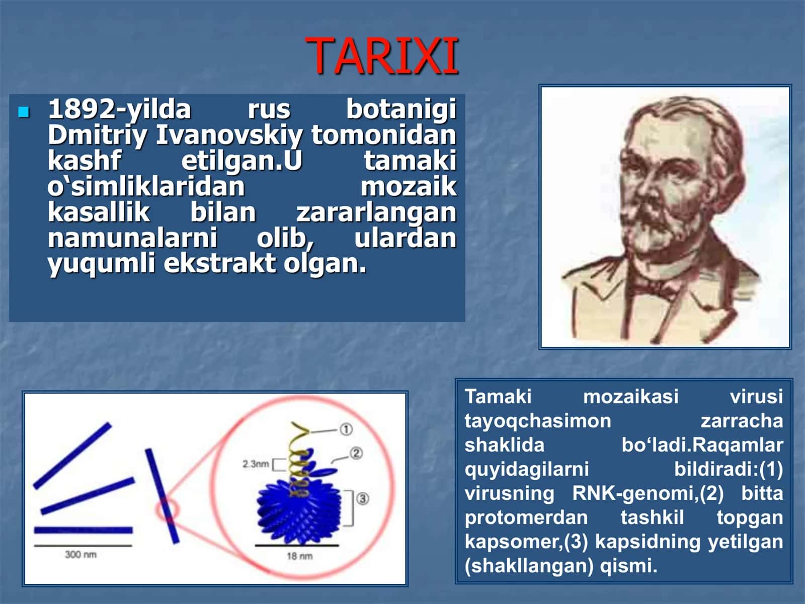 Viruslar 3