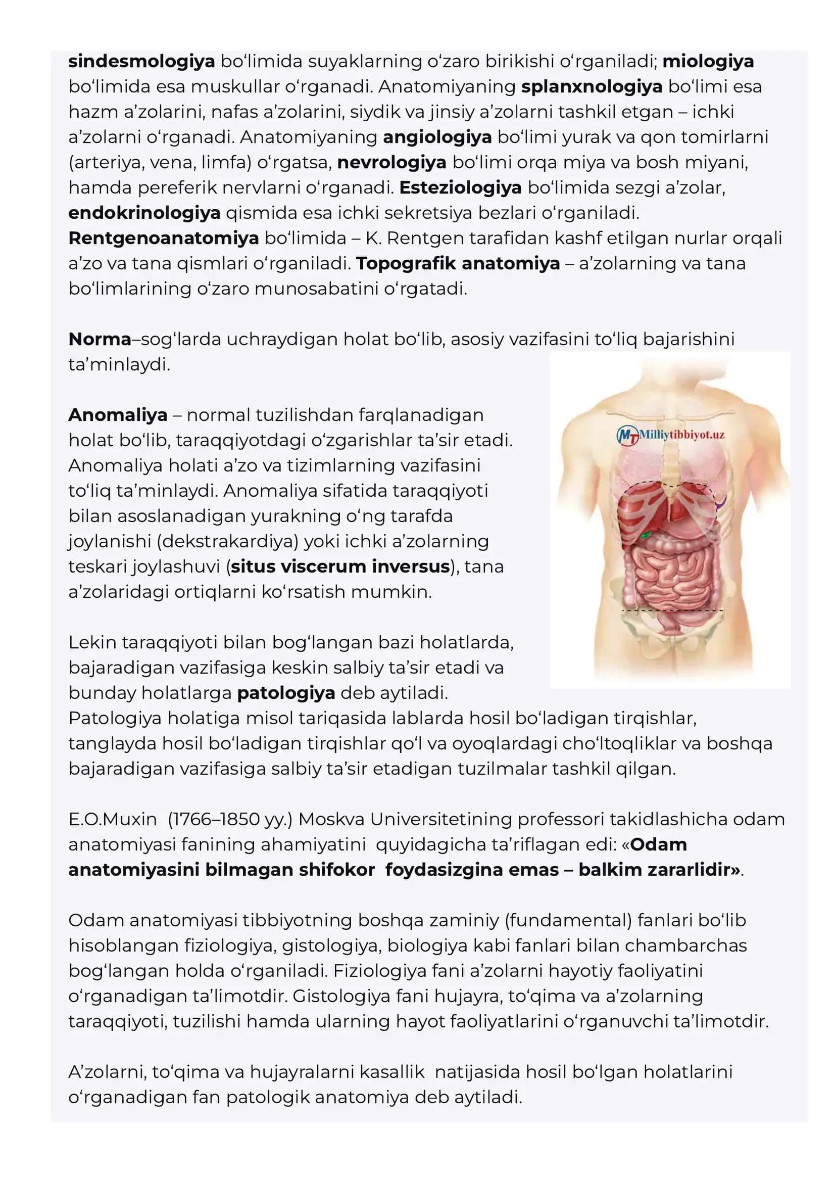 Anatomiya kirish 3