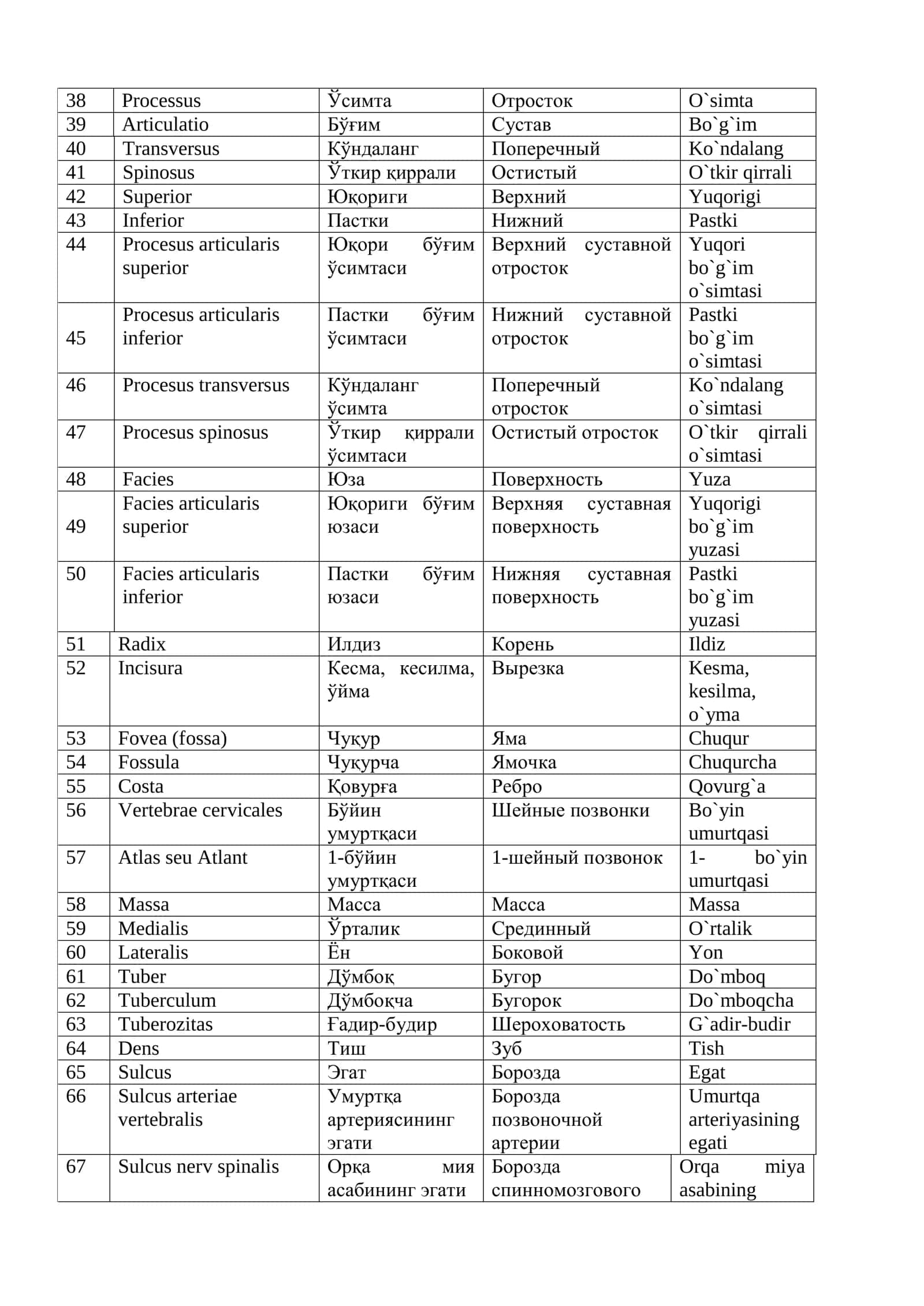ANATOMIK TERMINOLOGIYA (TERMINOLOGIYA ANATOMICA) 3