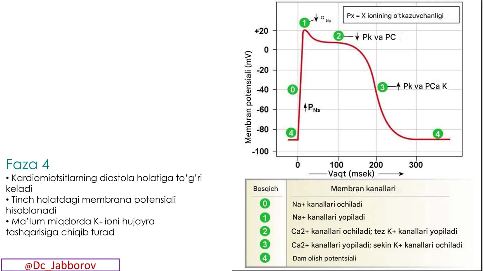Antiaritmik dori vositalari 3