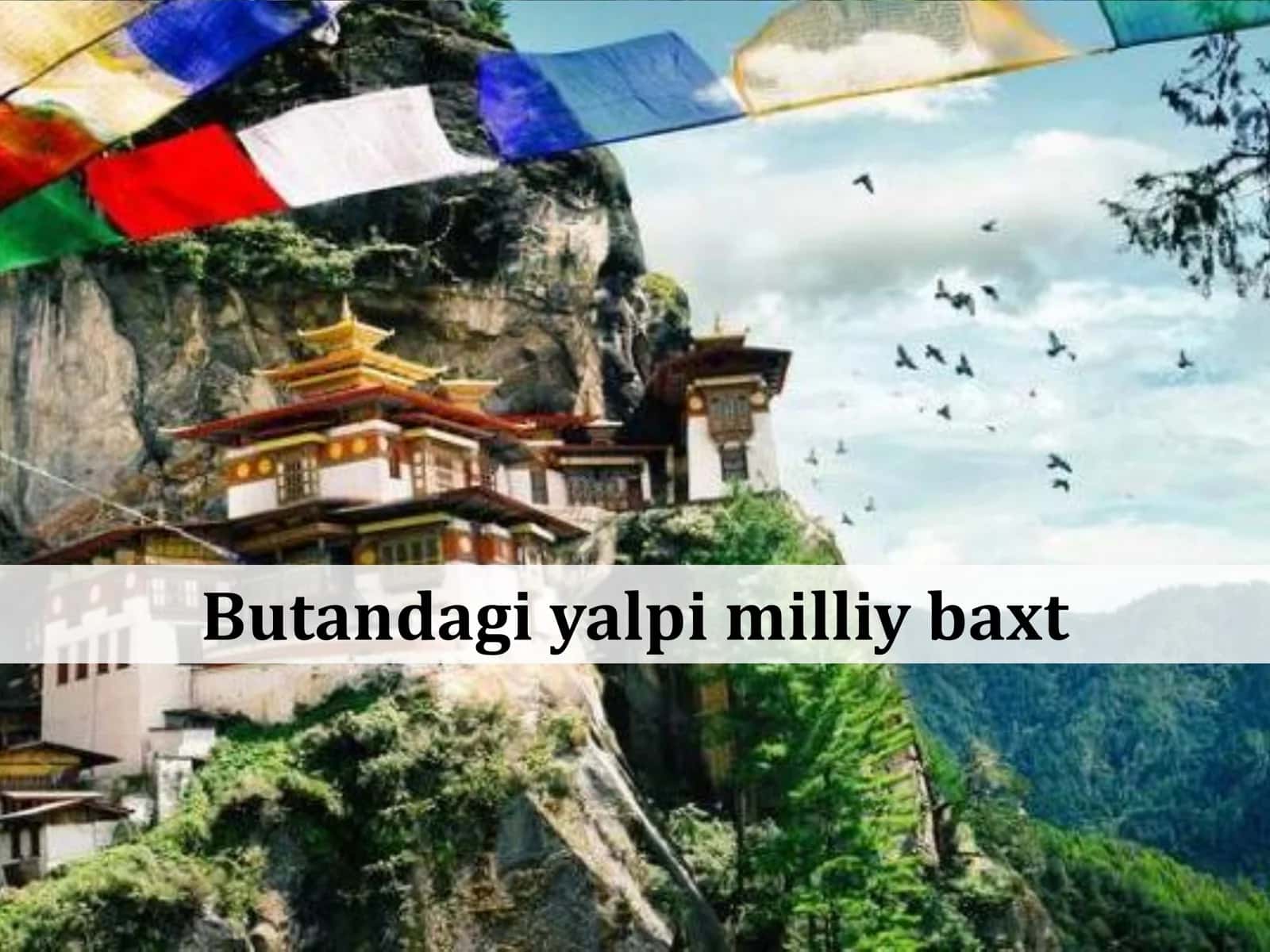Ma’muriy huquq fanida 3