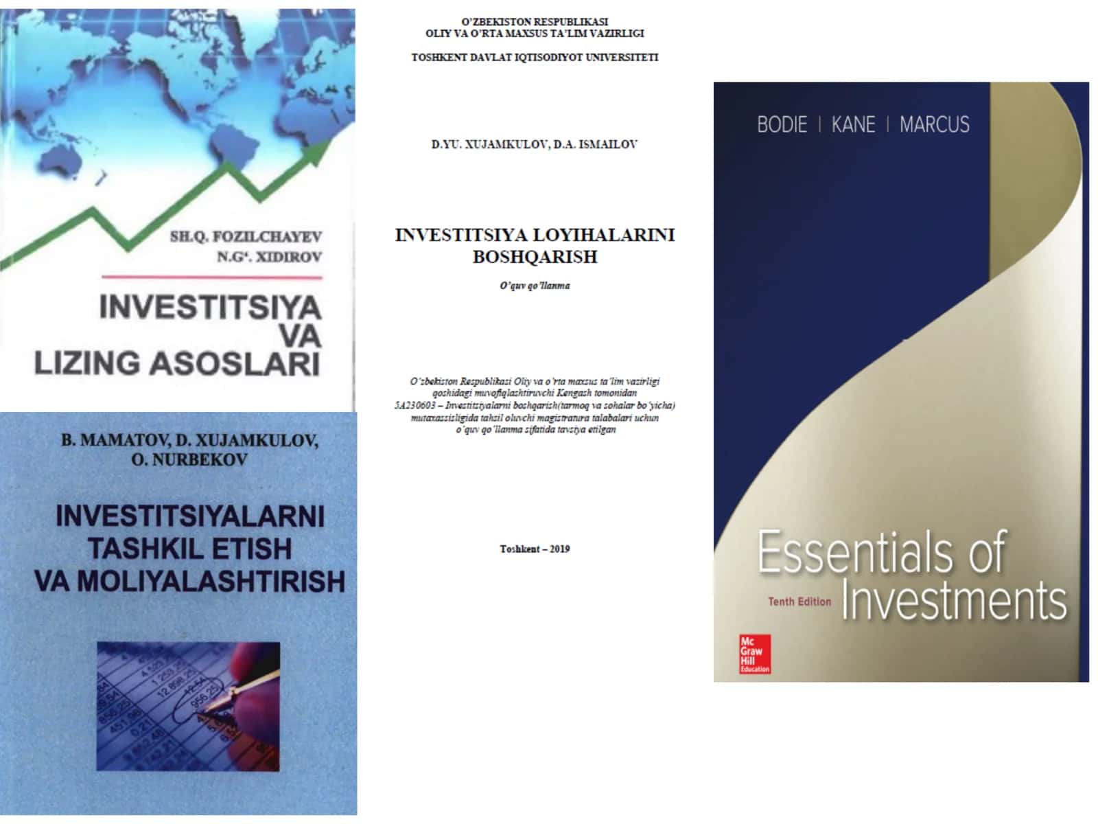Investitsiya Loyihasi 3