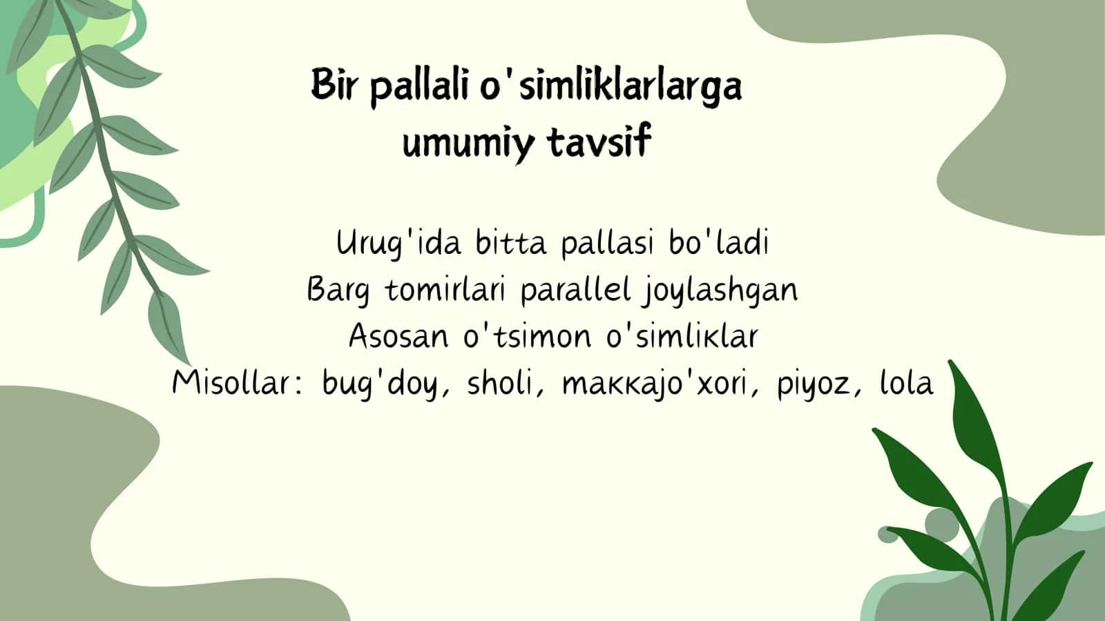 Bir pallali o'simliklar 3