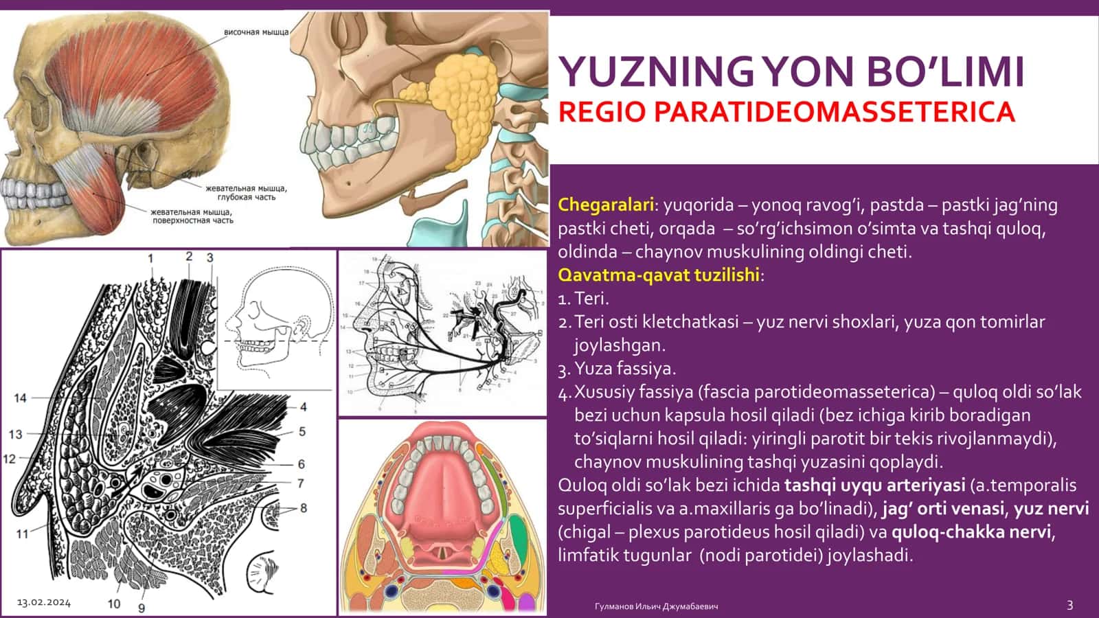 BOSHNING YUZ QISMI KLİNİK ANATOMİYASI 3