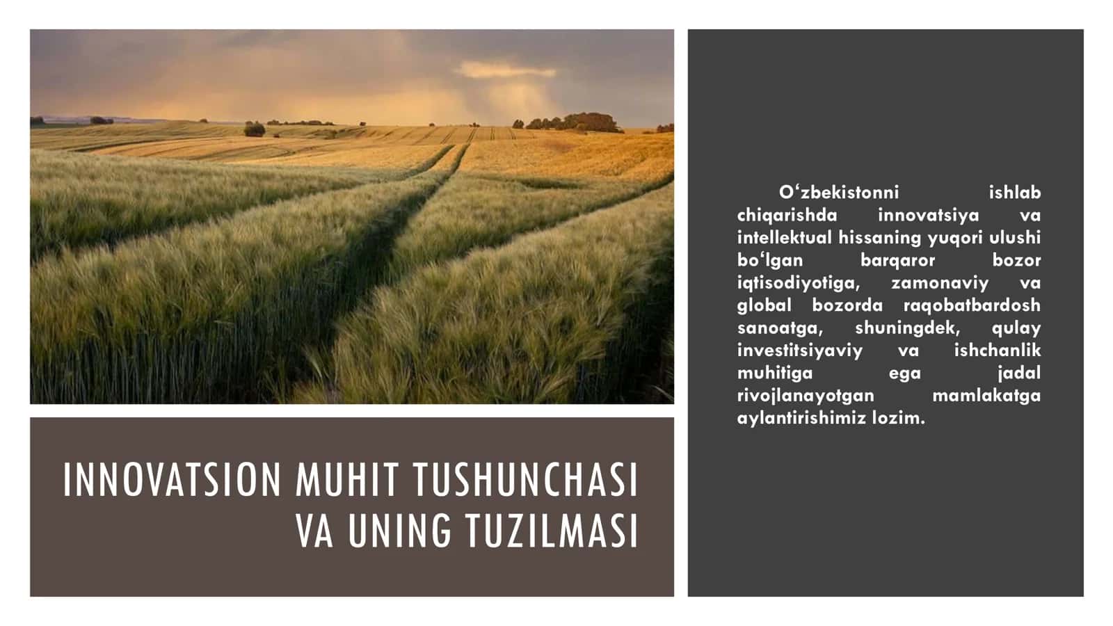 FAN: INNOVATSION IQTISODIYOT 3