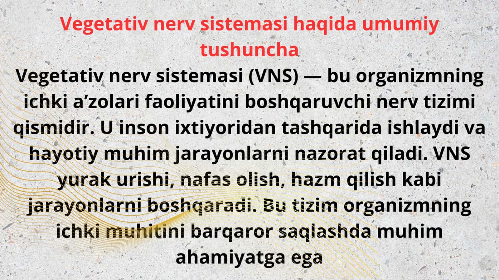 Vegetativ nerv sistemasi. 3