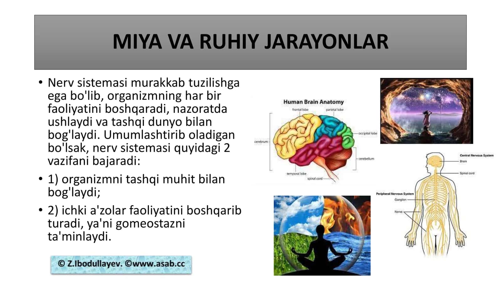 MIYA VA RUHIY JARAYONLAR 3