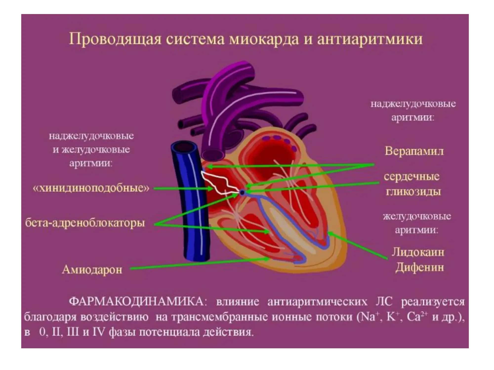 АНТИАРИТМИЧЕСКИЕ СРЕДСТВА 3