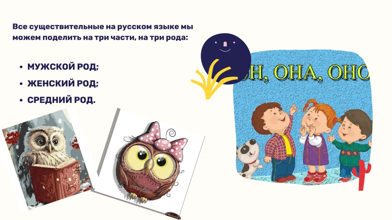 Род у существительных 3
