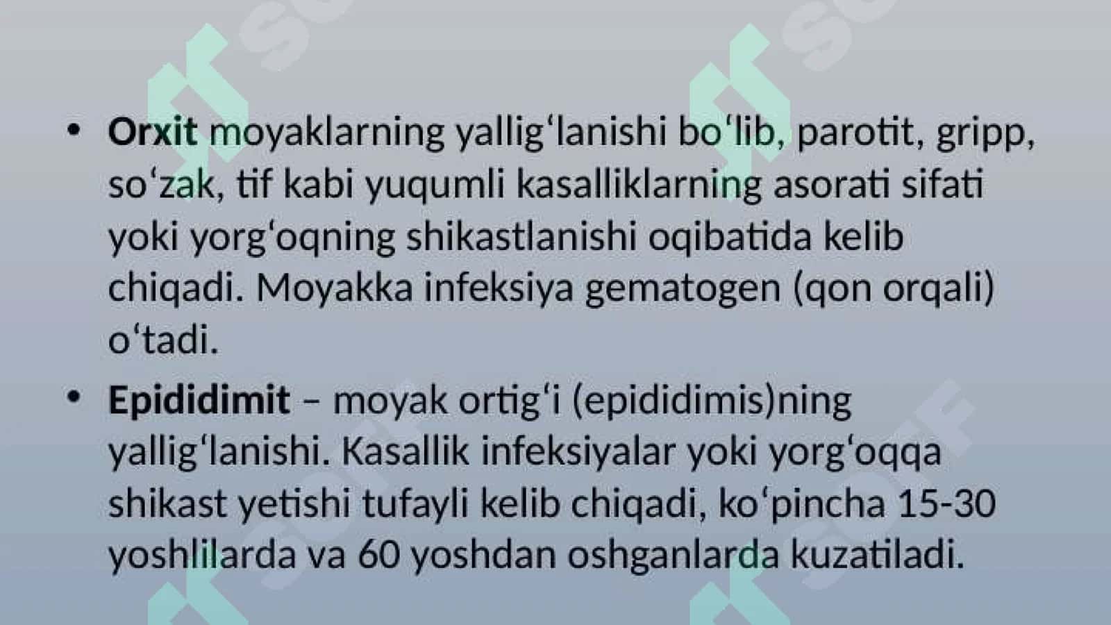 Turamurodov Musulmonbek 3